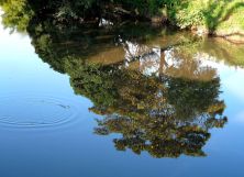 luz que reflete    -    pqlavras038a.jpg